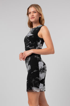 lelosi kleit shanty 1