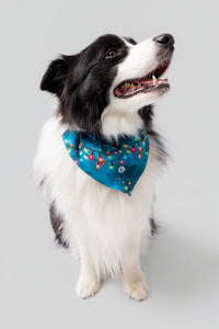 LeloPET bandana Catvibe