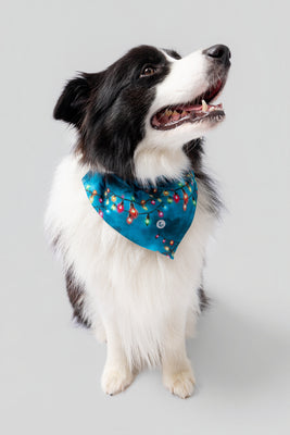 LeloPET bandana Catvibe